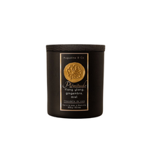 Load image into Gallery viewer, Ylang ylang, gingembre, miel, honey, chandelles de soja, soy candle
